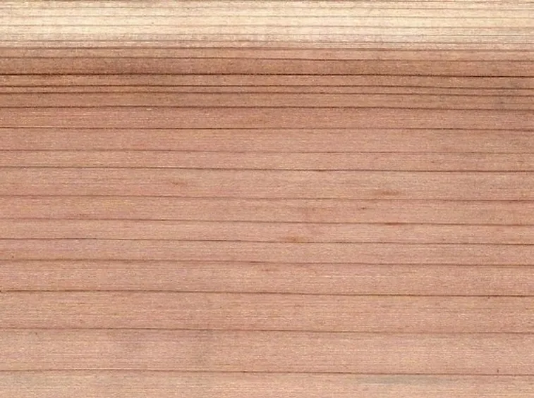legno cryptomeria japonica