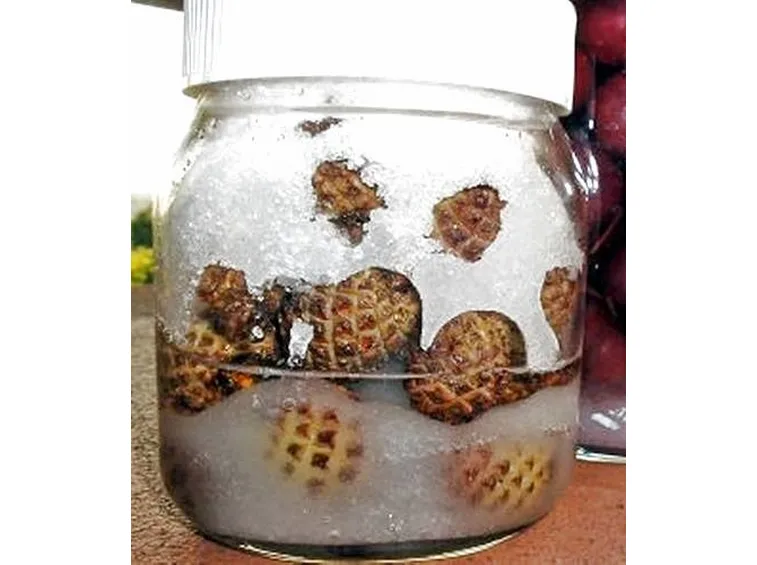grappa