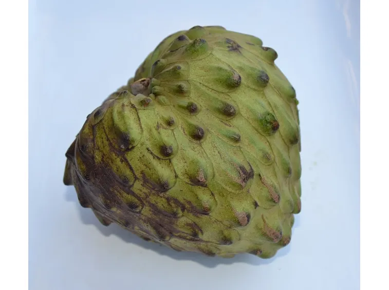 frutto annona