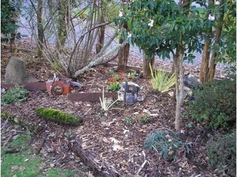 giardino tagliato.