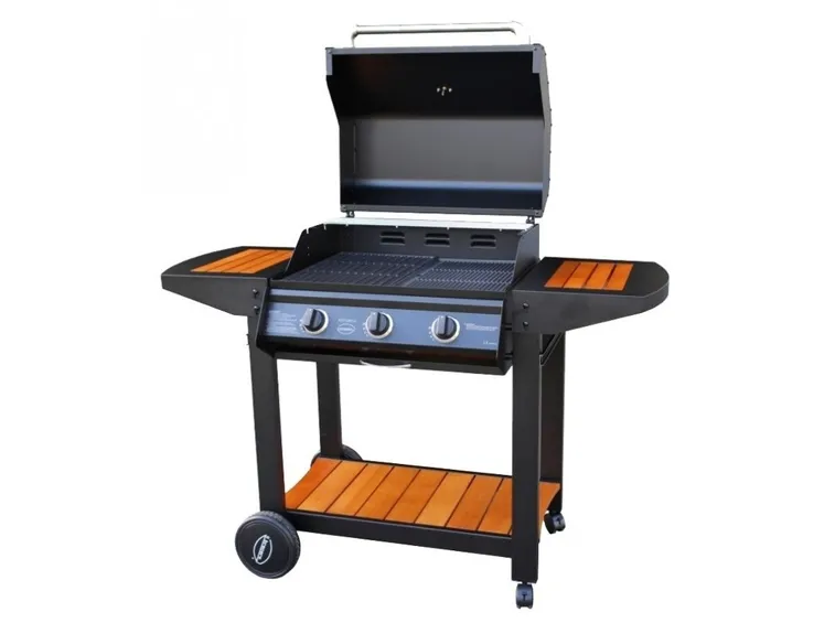 Barbecue da giardino a gas