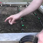 Un classico sistema di irrigazione a goccia