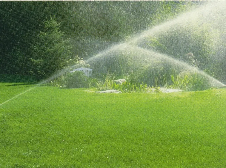 Un perfetto sistema di irrigazione fai da te