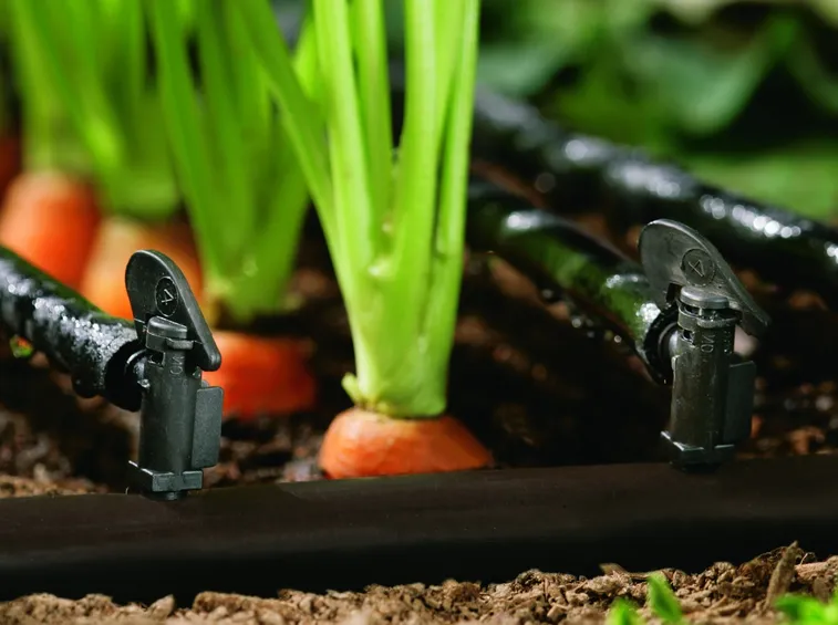 Un sistema di irrigazione per l'orto a goccia