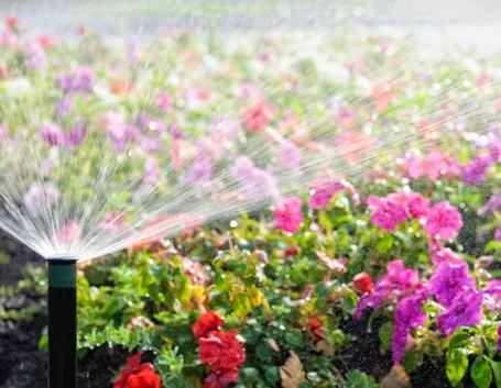Un irrigatore da giardino in funzione.