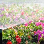 Un irrigatore da giardino in funzione.