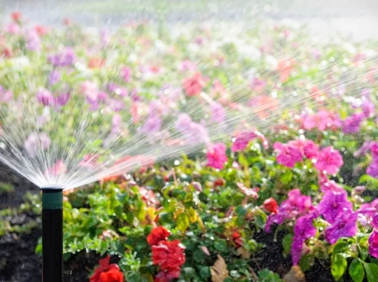 Un irrigatore da giardino in funzione.