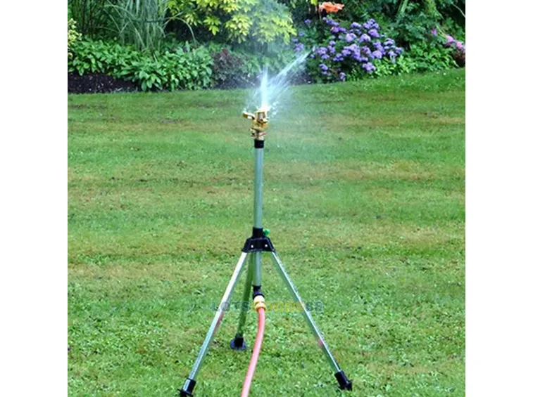 Un irrigatore che non richiede installazione.