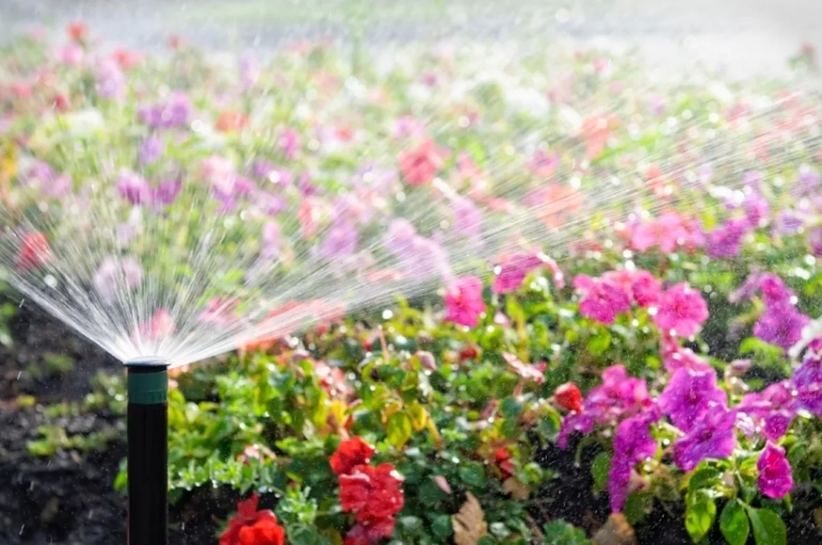 Un irrigatore da giardino in funzione.