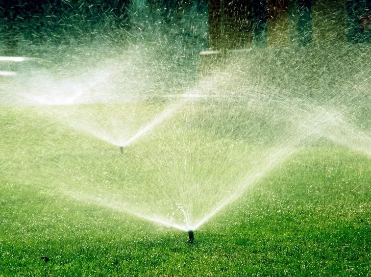 Dettagli irrigazione