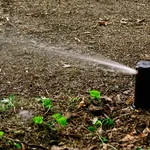Irrigazione a pioggia
