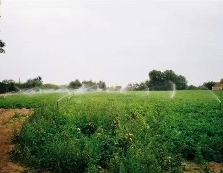 microirrigatori in campo