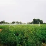 microirrigatori in campo