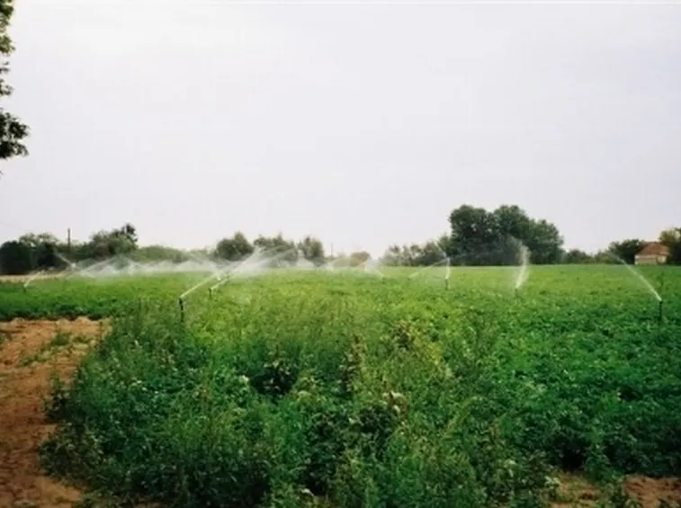 microirrigatori in campo