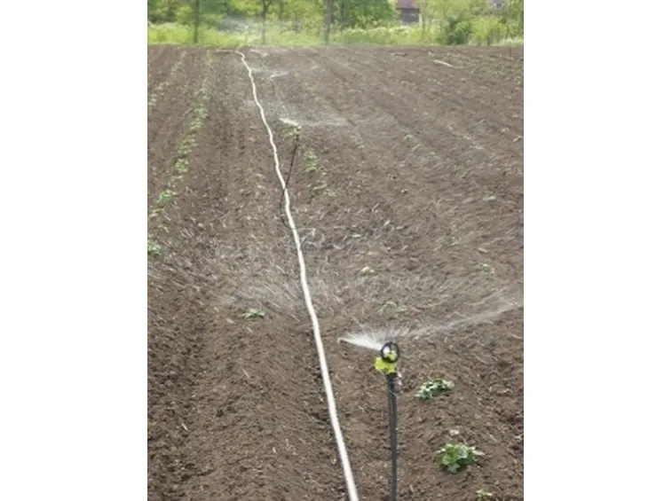 irrigazione