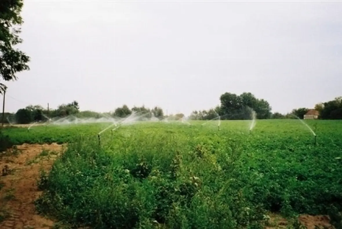 microirrigatori in campo