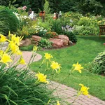 Giardino con fiori