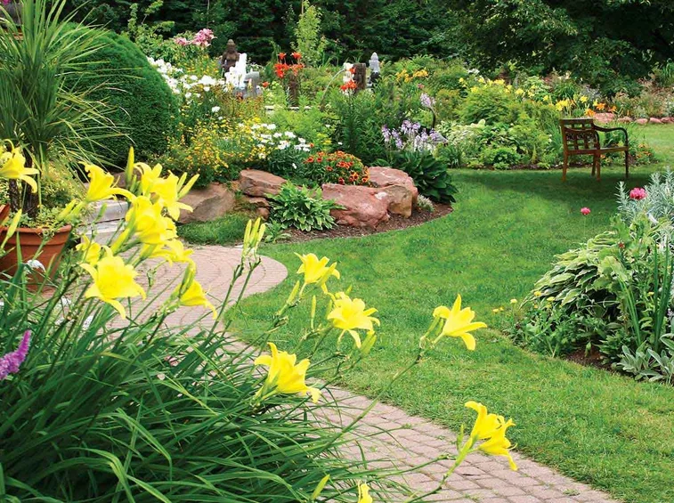 Giardino con fiori