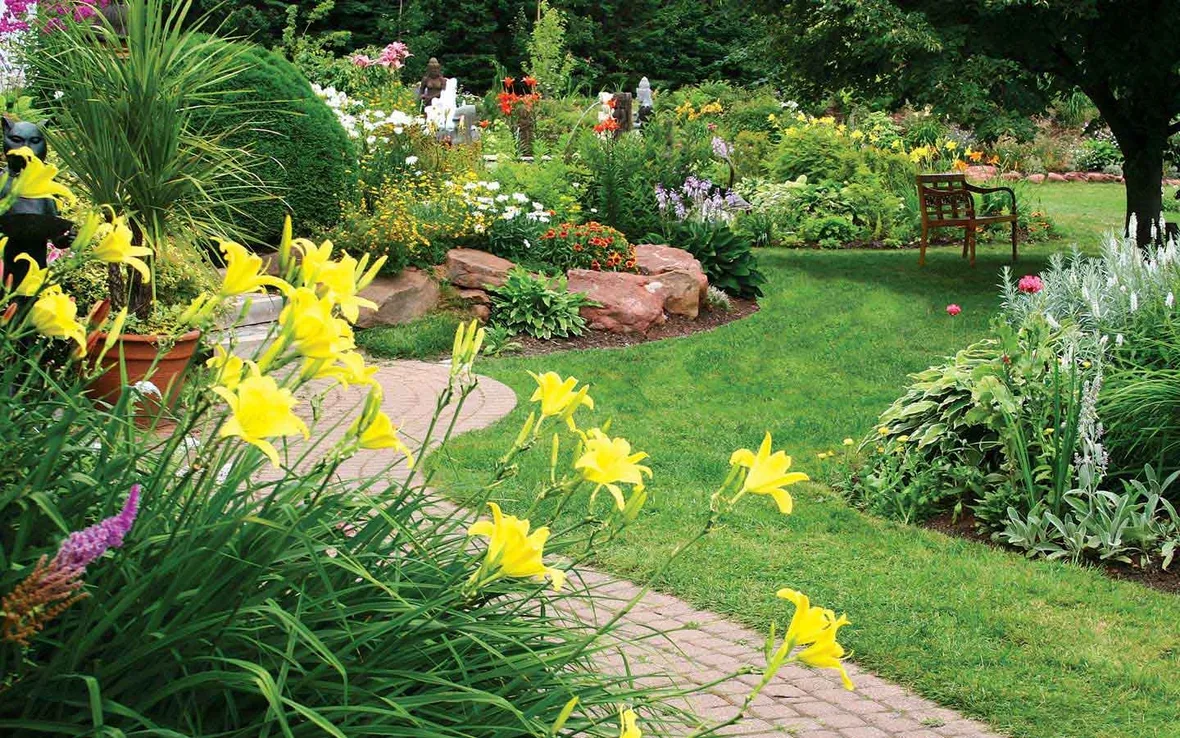 Giardino con fiori