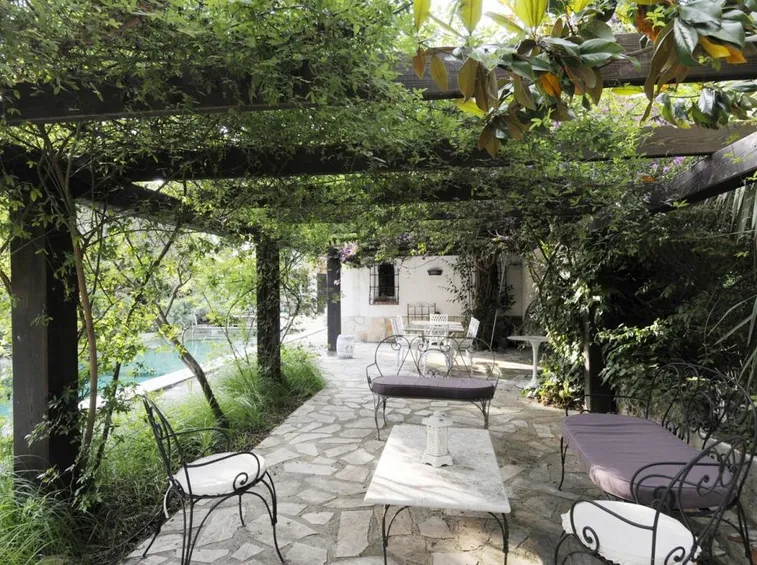 Pergola piante rampicanti