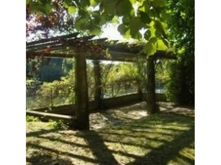 tettoia in legno.