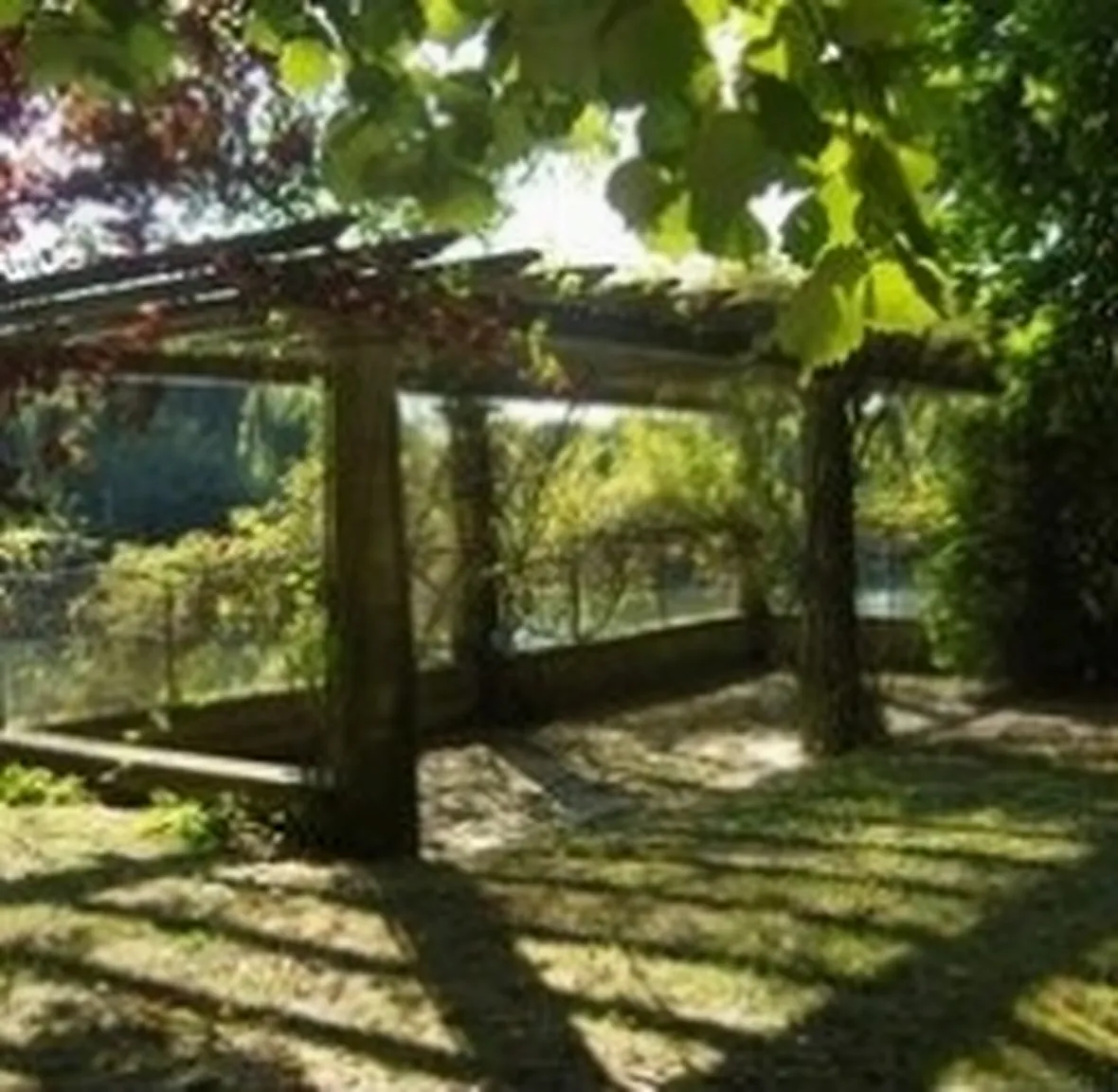 tettoia in legno.