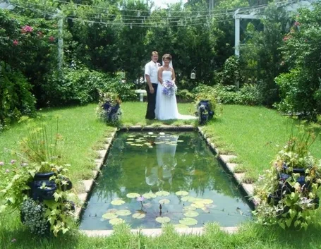 piscina con sposi.