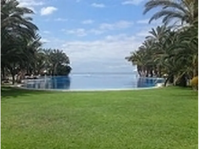 piscine on line 