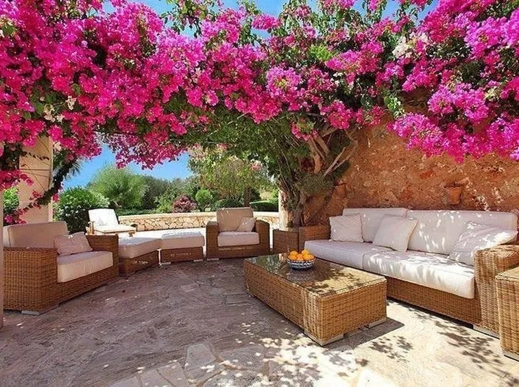 Giardino con bouganvillea