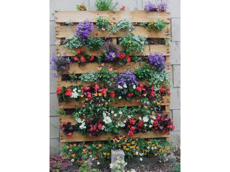 Giardino verticale