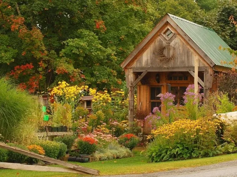 Un giardino rustico