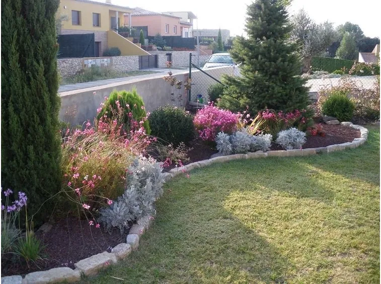 piante giardino fai da te