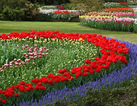 Giardino fiorito