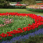 Giardino fiorito