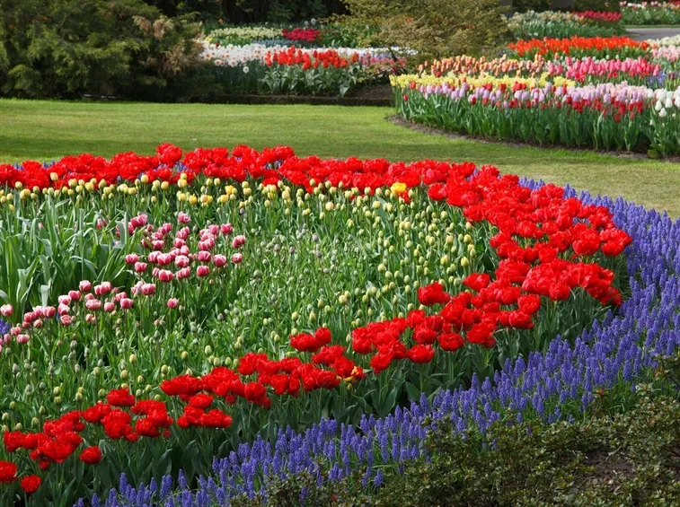 Giardino fiorito