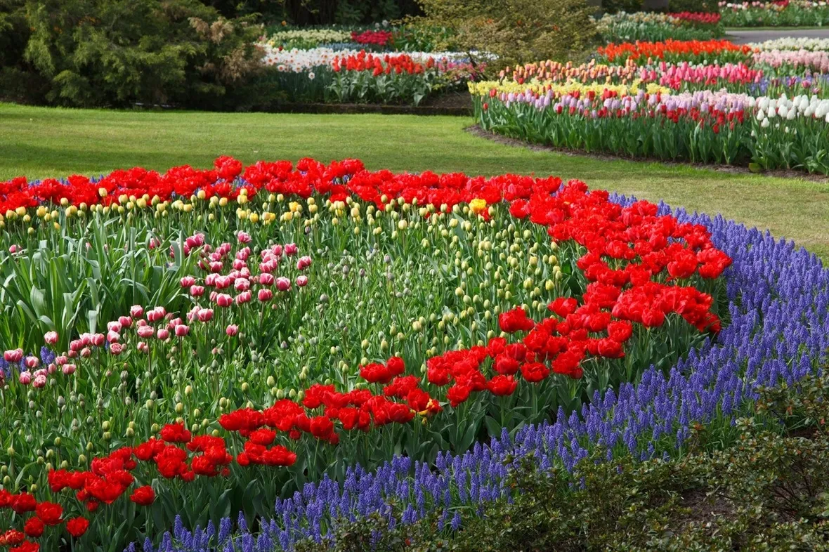 Giardino fiorito