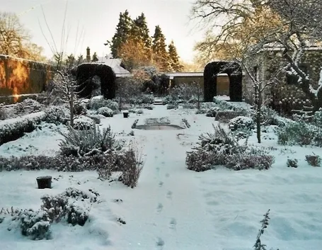 giardino innevato