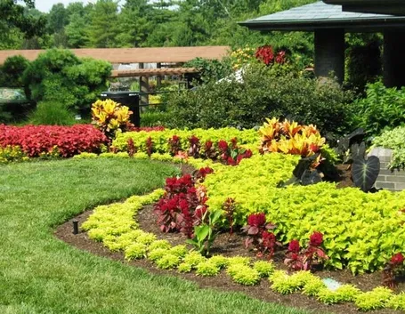 Giardino fiorito