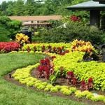 Giardino fiorito