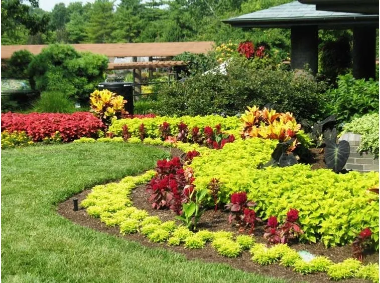 Giardino fiorito