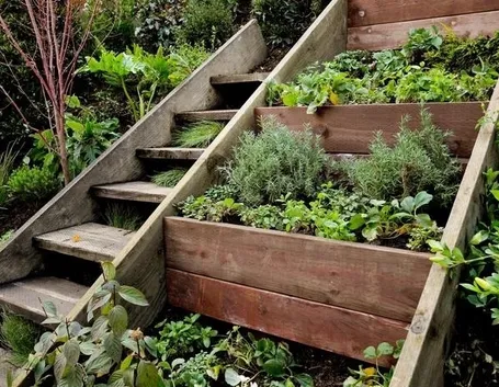 Soddisfazione e relax nella realizzazione di giardini fai da te