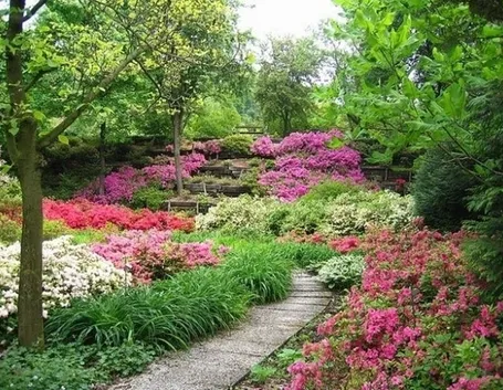 Un esempio di giardino fiorito