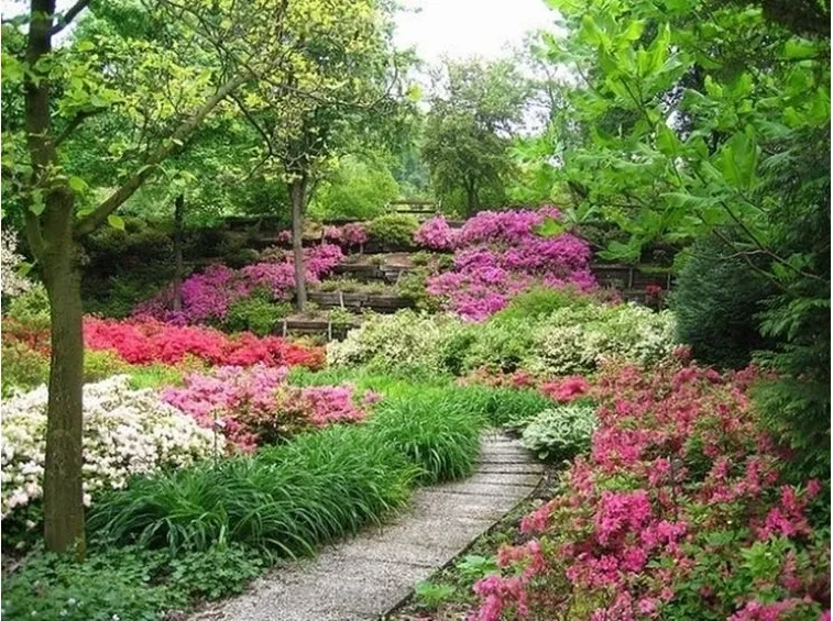 Un esempio di giardino fiorito