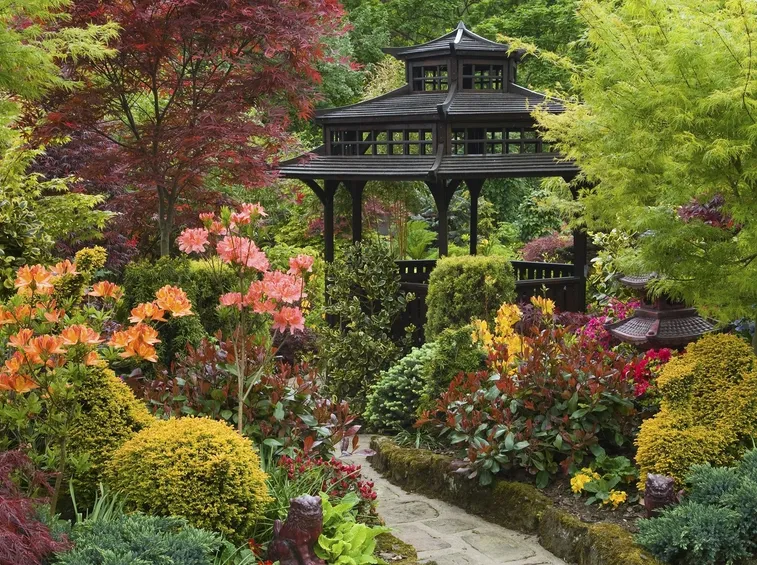 L'immagine di un giardino giapponese