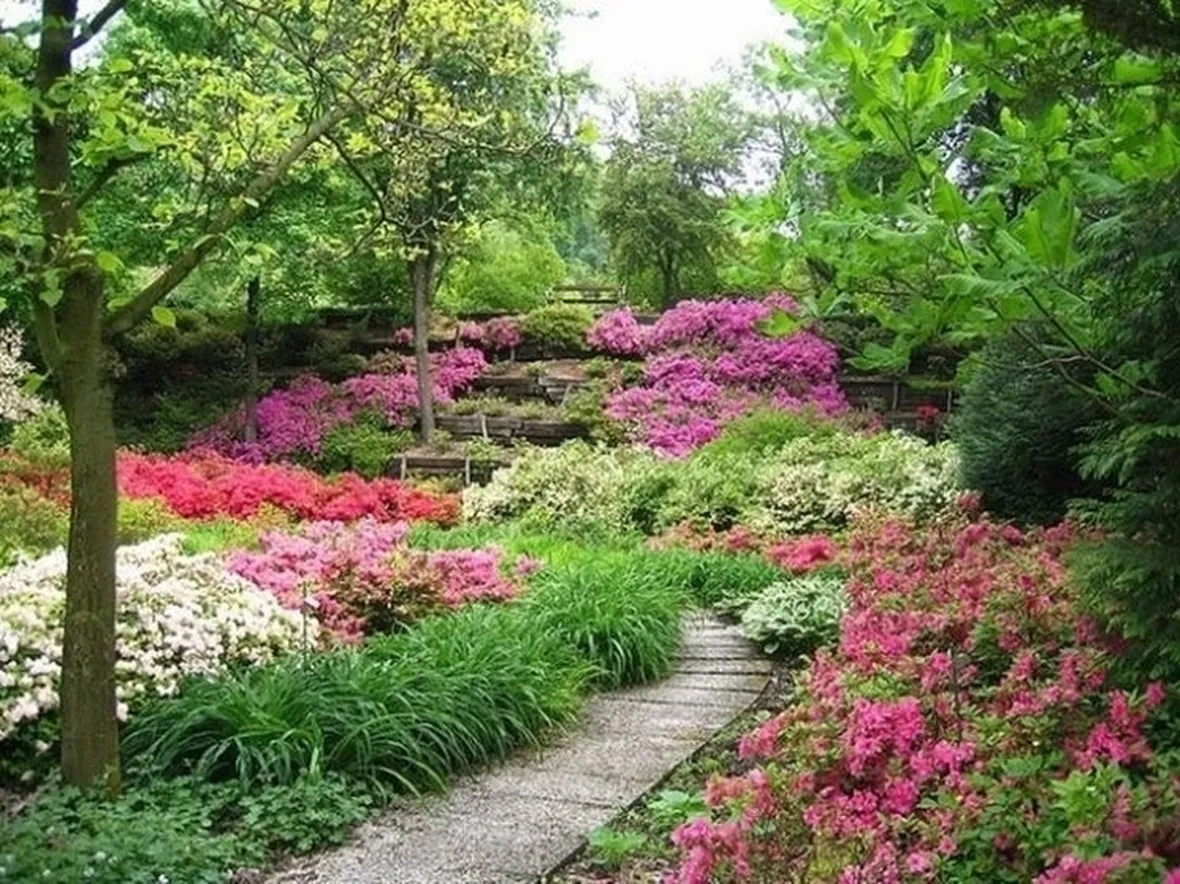 Un esempio di giardino fiorito