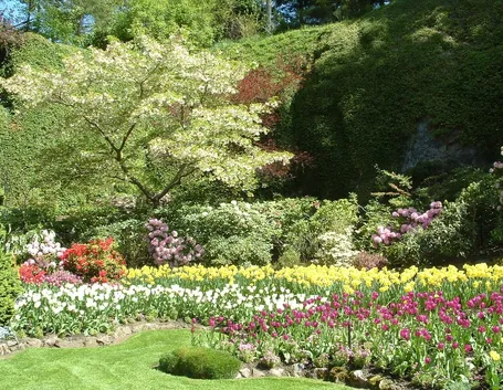 Giardino fiorito