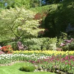 Giardino fiorito