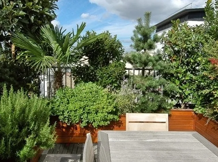 realizzazione giardini in terrazza