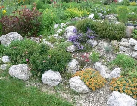 Giardino roccioso a effetto naturale