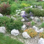 Giardino roccioso a effetto naturale